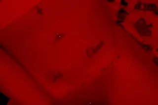 🍑 LIVE FaceTime Shows and Cont... - Image 2